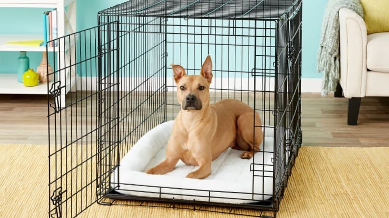 kong 42 inch dog crate